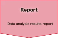 Report